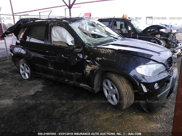 5UXFE43559L273830 - 2009 BMW X5 XDRIVE30I BLUE photo 1