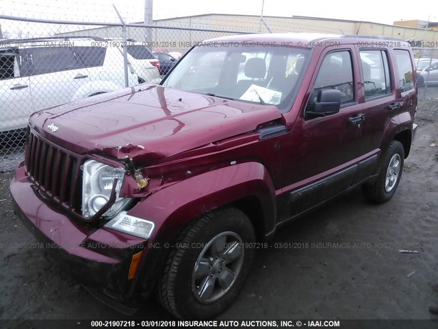 1J4PN2GK7BW555900 - 2011 JEEP LIBERTY SPORT 勃艮第红 照片 2