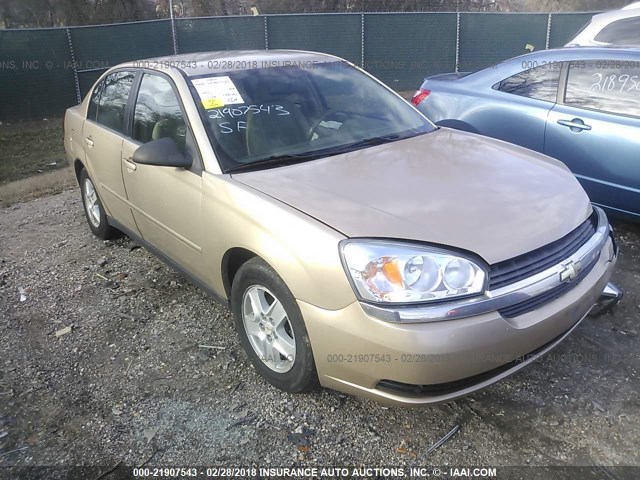 1G1ZT548X5F265694 - 2005 CHEVROLET MALIBU LS თაფლისფერი ფოტო 1