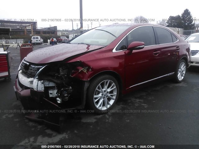 JTHBB1BA7A2006025 - 2010 LEXUS HS 250H MAROON photo 2