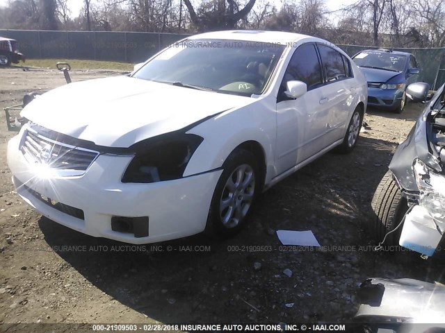 1N4BA41E07C805406 - 2007 NISSAN MAXIMA SE/SL WHITE photo 2