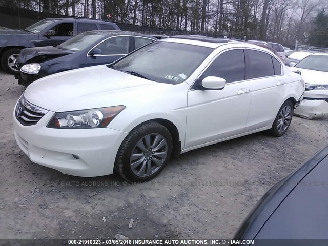 1HGCP3F8XCA017122 - 2012 HONDA ACCORD EXL WHITE photo 2