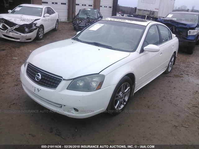 1N4BL11D65C274287 - 2005 NISSAN ALTIMA SE/SL/SE-R WHITE photo 2