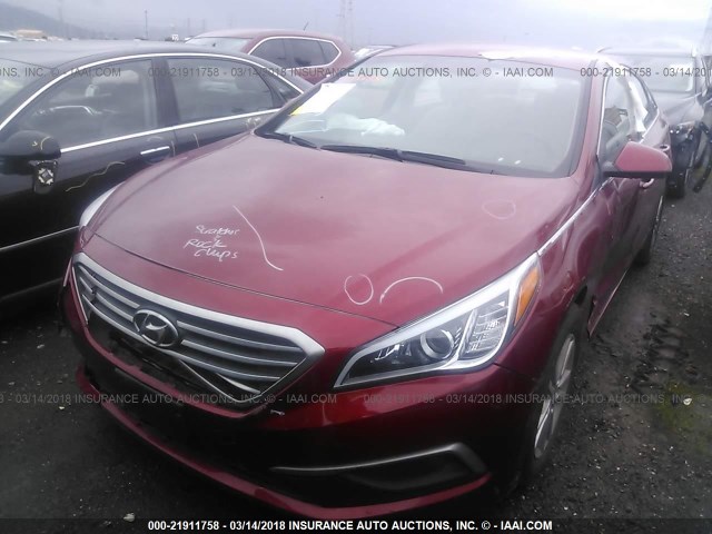 5NPE24AF0GH433468 - 2016 HYUNDAI SONATA SE RED photo 2