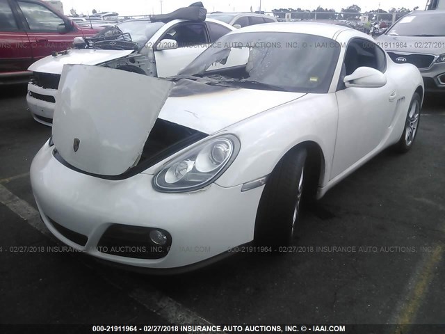 WP0AA2A82AU760197 - 2010 PORSCHE CAYMAN WHITE photo 2