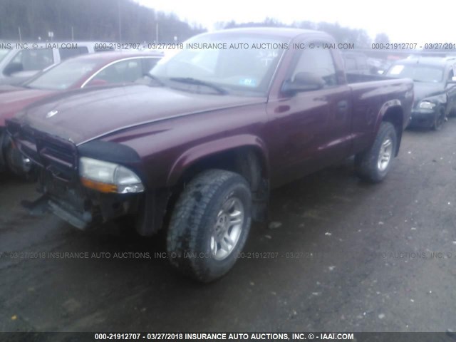 1D7GG16X53S348847 - 2003 DODGE DAKOTA SXT MAROON photo 2