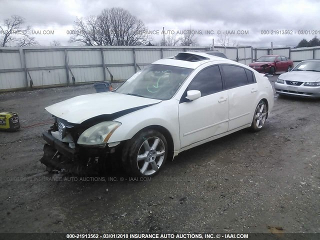 1N4BA41E35C867346 - 2005 NISSAN MAXIMA SE/SL WHITE photo 2