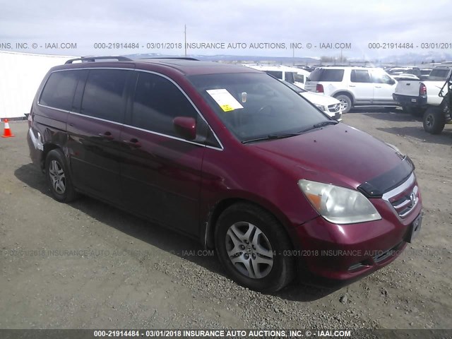5FNRL38786B440981 - 2006 HONDA ODYSSEY EXL წითელი ფოტო 1