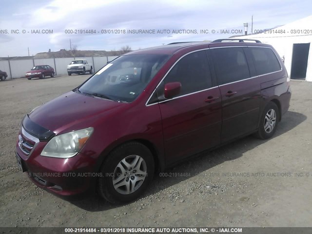 5FNRL38786B440981 - 2006 HONDA ODYSSEY EXL წითელი ფოტო 2