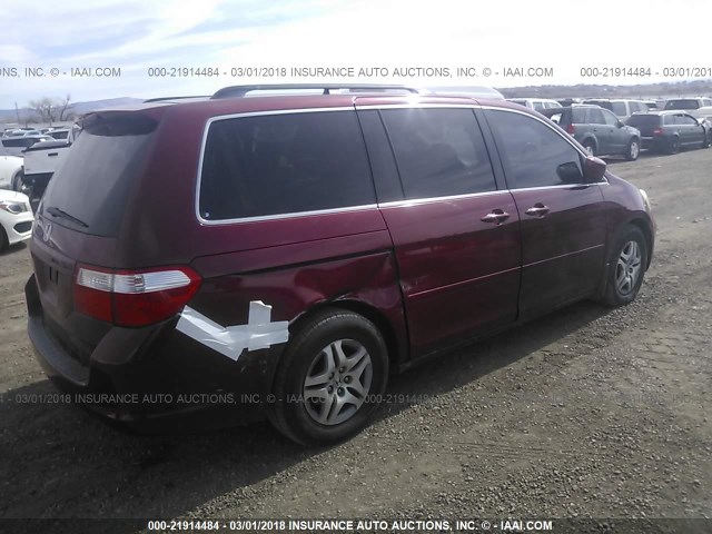 5FNRL38786B440981 - 2006 HONDA ODYSSEY EXL წითელი ფოტო 4