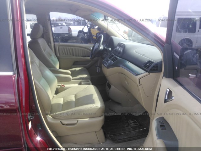 5FNRL38786B440981 - 2006 HONDA ODYSSEY EXL წითელი ფოტო 5