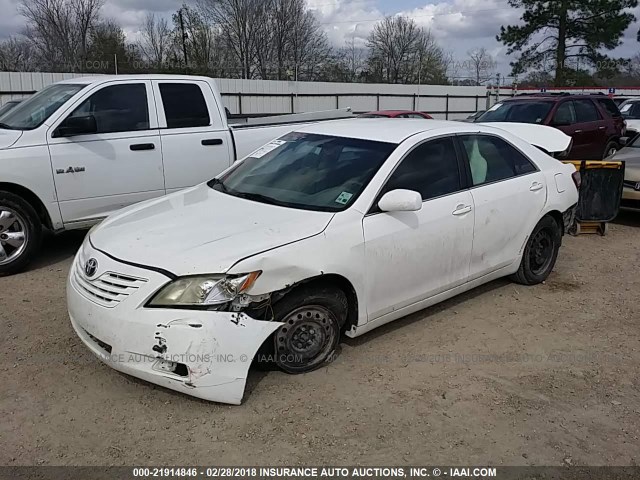 4T1BE46K47U667632 - 2007 TOYOTA CAMRY NEW GENERAT CE/LE/XLE/SE WHITE photo 2