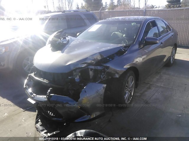 4T1BF1FK3HU628690 - 2017 TOYOTA CAMRY LE/XLE/SE/XSE GRAY photo 2