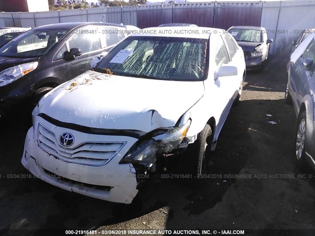 4T1BF3EK1AU544239 - 2010 TOYOTA CAMRY SE/LE/XLE WHITE photo 2