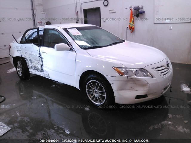 4T1BE46K29U876337 - 2009 TOYOTA CAMRY SE/LE/XLE WHITE photo 1