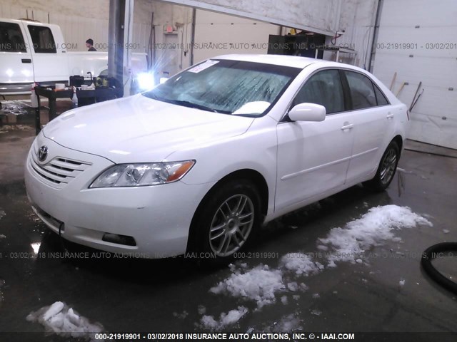 4T1BE46K29U876337 - 2009 TOYOTA CAMRY SE/LE/XLE WHITE photo 2