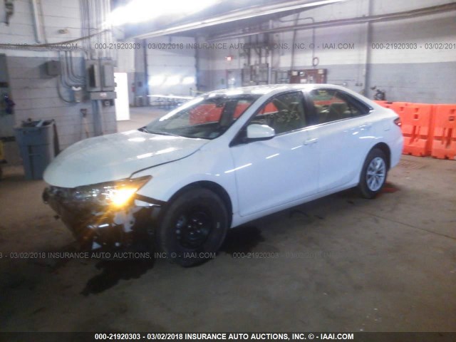 4T4BF1FK6GR536641 - 2016 TOYOTA CAMRY LE/XLE/SE/XSE WHITE photo 2
