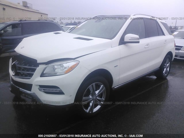 4JGDA5HB4CA023731 - 2012 MERCEDES-BENZ ML 350 4MATIC WHITE photo 2