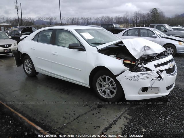 1G11A5SA9DF275172 - 2013 CHEVROLET MALIBU LS თეთრი ფოტო 1
