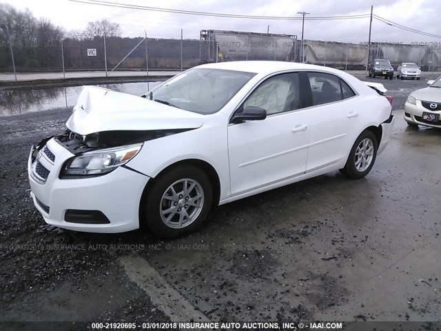 1G11A5SA9DF275172 - 2013 CHEVROLET MALIBU LS თეთრი ფოტო 2