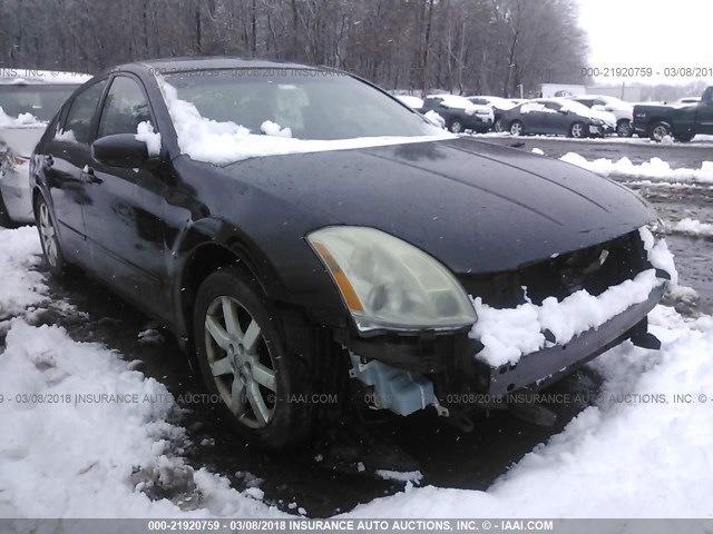 1N4BA41E85C853796 - 2005 NISSAN MAXIMA SE/SL BLACK photo 1