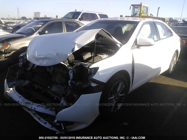 4T1BF1FK4FU038575 - 2015 TOYOTA CAMRY LE/XLE/SE/XSE WHITE photo 2