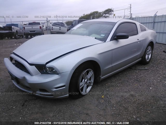 1ZVBP8AMXE5209967 - 2014 FORD MUSTANG SILVER photo 2