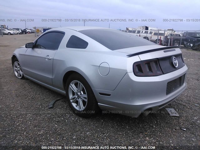 1ZVBP8AMXE5209967 - 2014 FORD MUSTANG SILVER photo 3