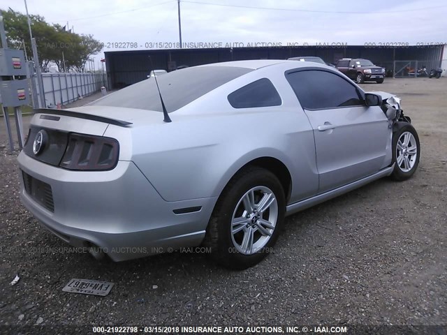 1ZVBP8AMXE5209967 - 2014 FORD MUSTANG SILVER photo 4