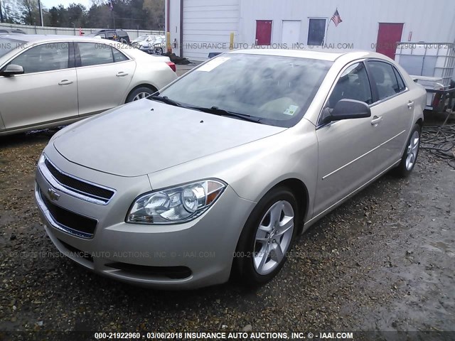 1G1ZB5E12BF336886 - 2011 CHEVROLET MALIBU LS კრემისფერი ფოტო 2