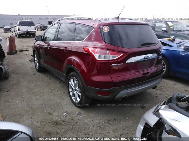 1FMCU0JX6EUE11606 - 2014 FORD ESCAPE TITANIUM RED photo 3