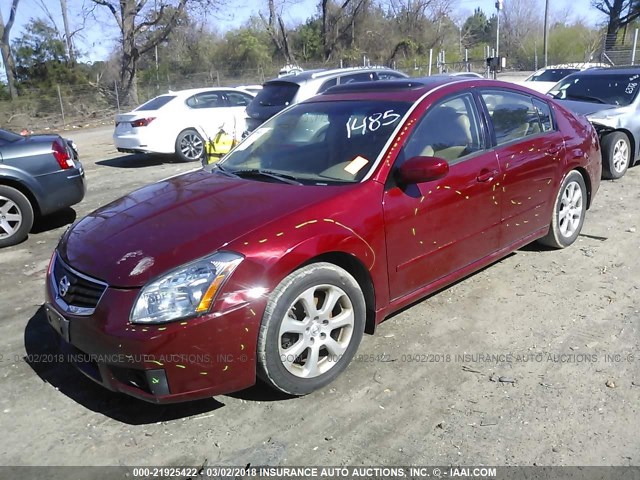 1N4BA41E18C821485 - 2008 NISSAN MAXIMA SE/SL RED photo 2