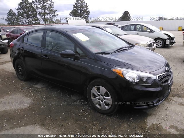 KNAFK4A64E5119269 - 2014 KIA FORTE LX BLACK photo 1