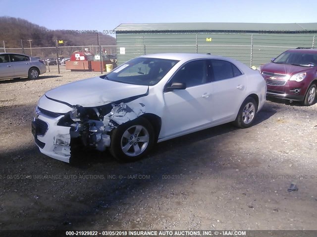 1G11B5SL5EU142680 - 2014 CHEVROLET MALIBU LS Ақ фото 2