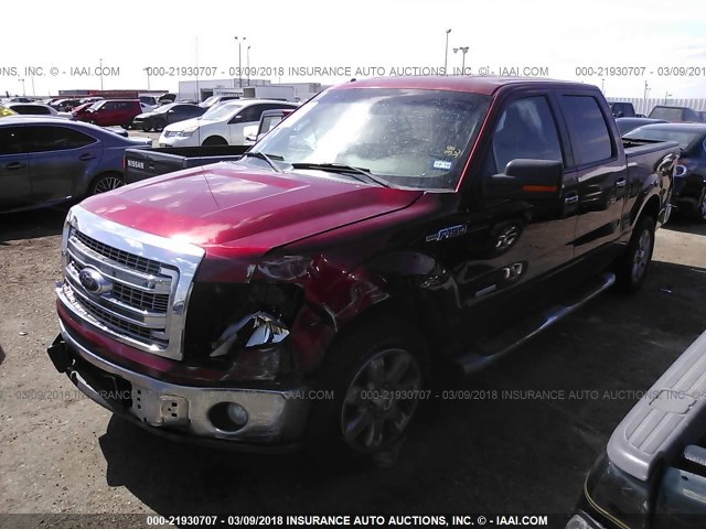 1FTFW1CT4EKD93842 - 2014 FORD F150 SUPERCREW RED photo 2