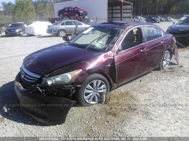 1HGCP2F84BA007856 - 2011 HONDA ACCORD EXL RED photo 2