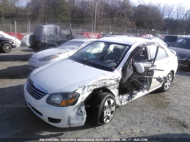 KNAFE221795623755 - 2009 KIA SPECTRA EX/LX/SX WHITE photo 6