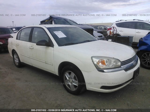 1G1ZT54815F151700 - 2005 CHEVROLET MALIBU LS Ağ foto 1
