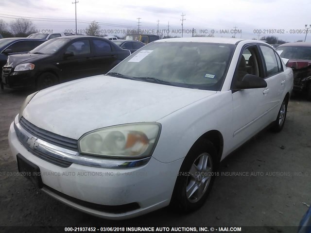 1G1ZT54815F151700 - 2005 CHEVROLET MALIBU LS Ağ foto 2