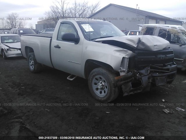 1GCEC14X09Z229443 - 2009 CHEVROLET SILVERADO C1500 GRAY photo 1