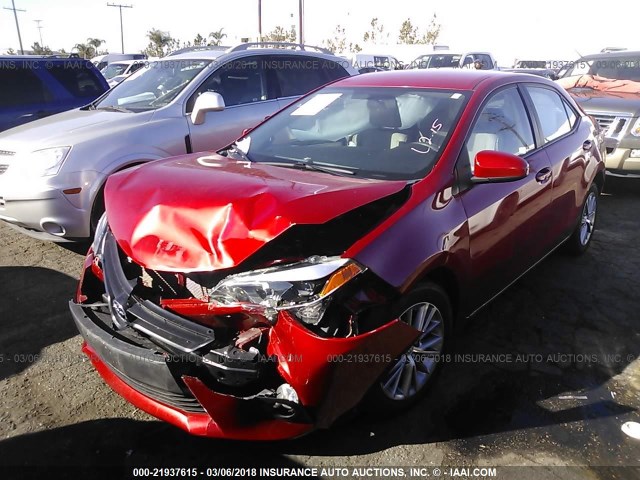 5YFBURHE4EP176029 - 2014 TOYOTA COROLLA L/LE/LE PLS/PRM/S/S PLS RED photo 2