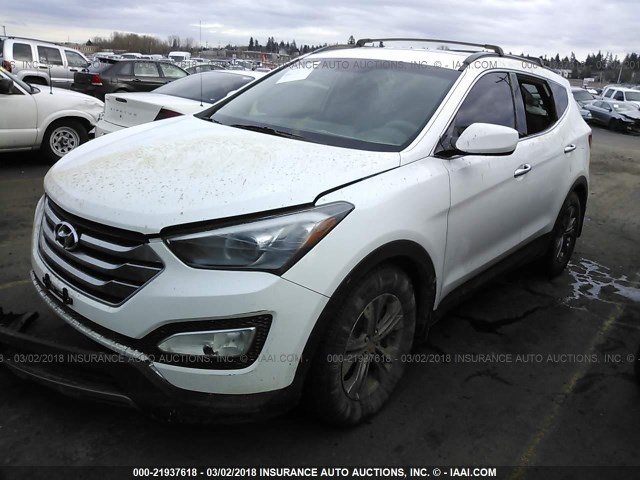 5XYZUDLB2GG374050 - 2016 HYUNDAI SANTA FE SPORT  WHITE photo 2