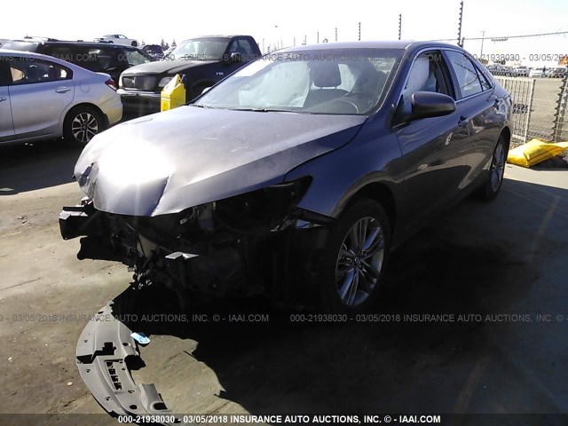 4T1BF1FK8HU335223 - 2017 TOYOTA CAMRY LE/XLE/SE/XSE GRAY photo 2