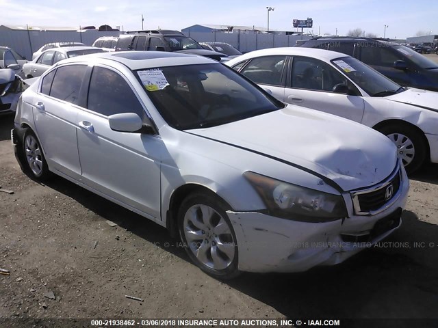 5KBCP3F81AB004697 - 2010 HONDA ACCORD EXL WHITE photo 1