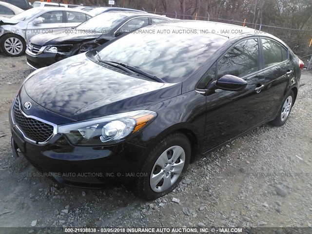 KNAFK4A6XG5568359 - 2016 KIA FORTE LX BLACK photo 2