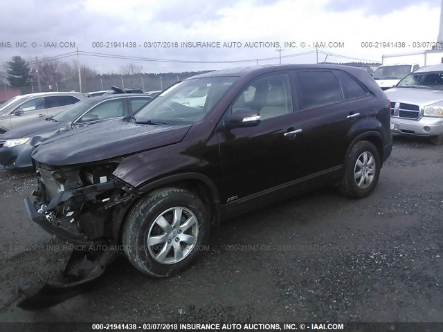 5XYKTCA62CG231436 - 2012 KIA SORENTO LX BROWN photo 2