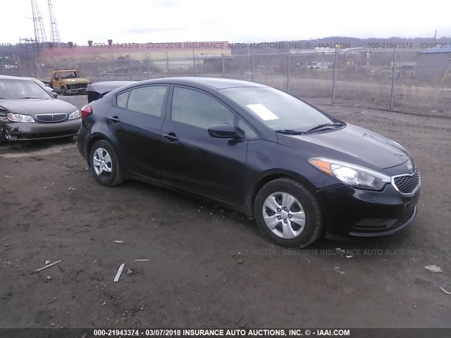 KNAFK4A66F5408185 - 2015 KIA FORTE LX BLACK photo 1