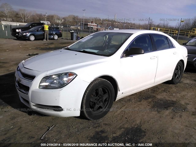 1G1ZG57B19F159801 - 2009 CHEVROLET MALIBU LS თეთრი ფოტო 2