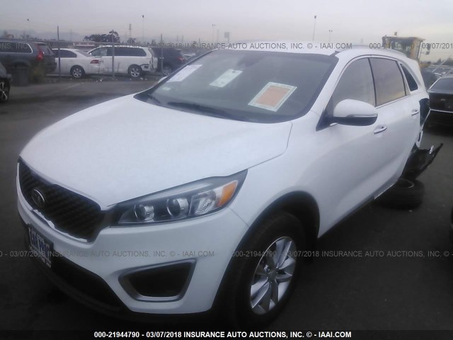 5XYPG4A30HG242609 - 2017 KIA SORENTO LX/L WHITE photo 2