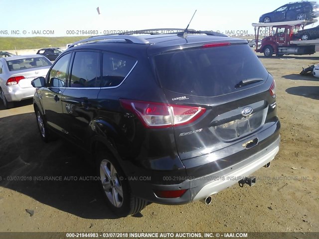 1FMCU9J90DUA72278 - 2013 FORD ESCAPE TITANIUM GRAY photo 3